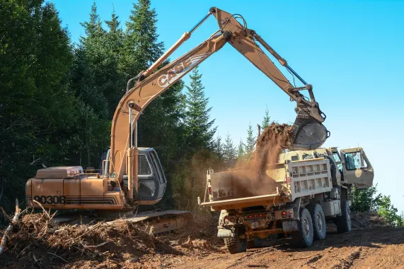 BetMotion Kasyno Wsparcie